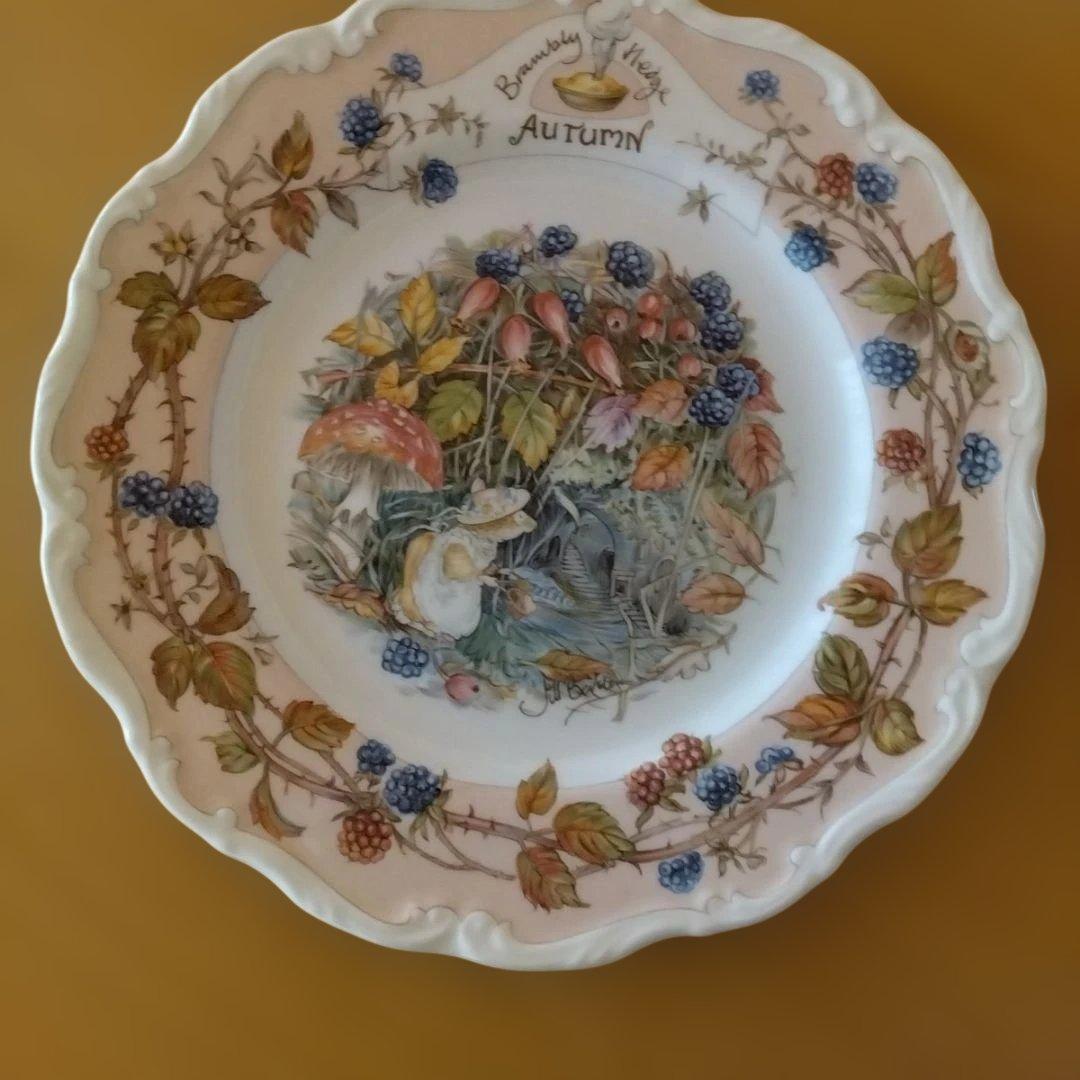 新品　ロイヤルドルトン ブランベリー ヘッジ 　カップソーサー4客 プレート２枚