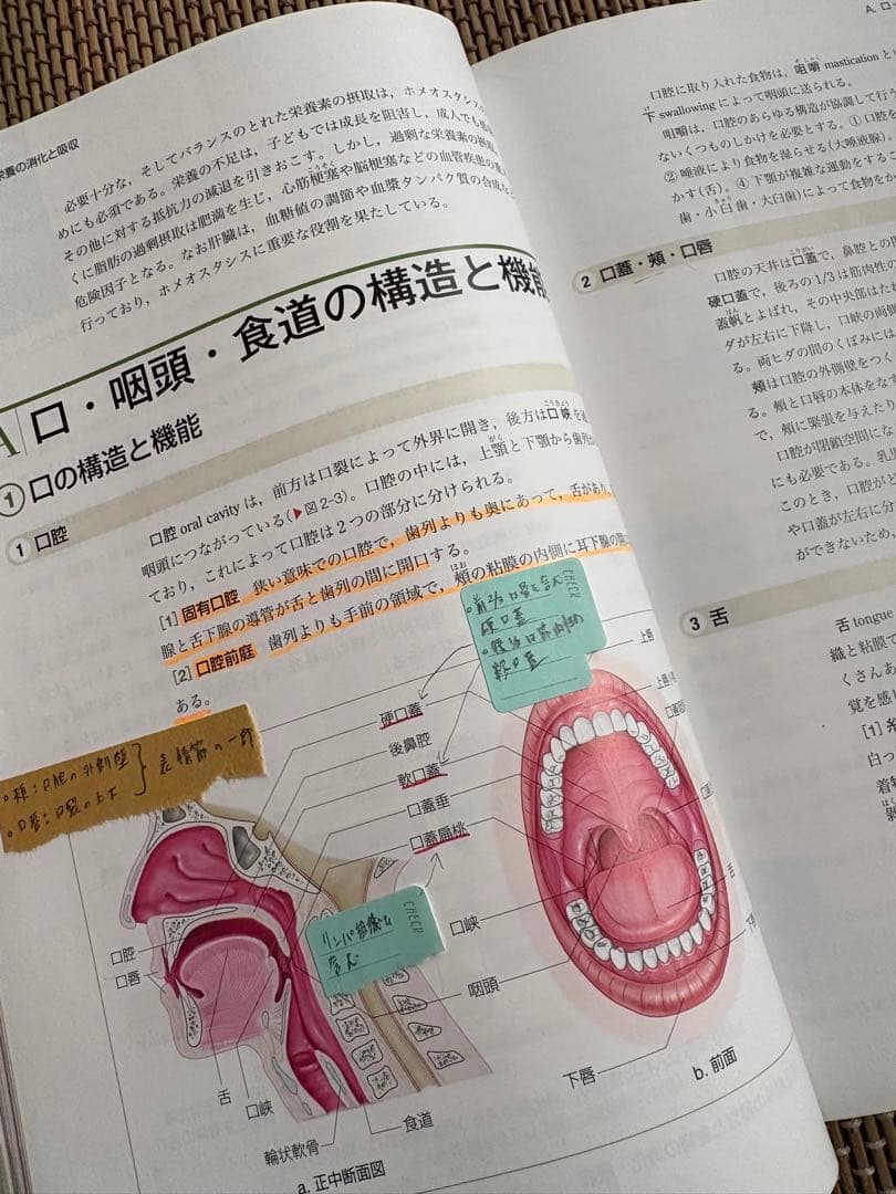 系統看護学講座　２０２５卒業生使用