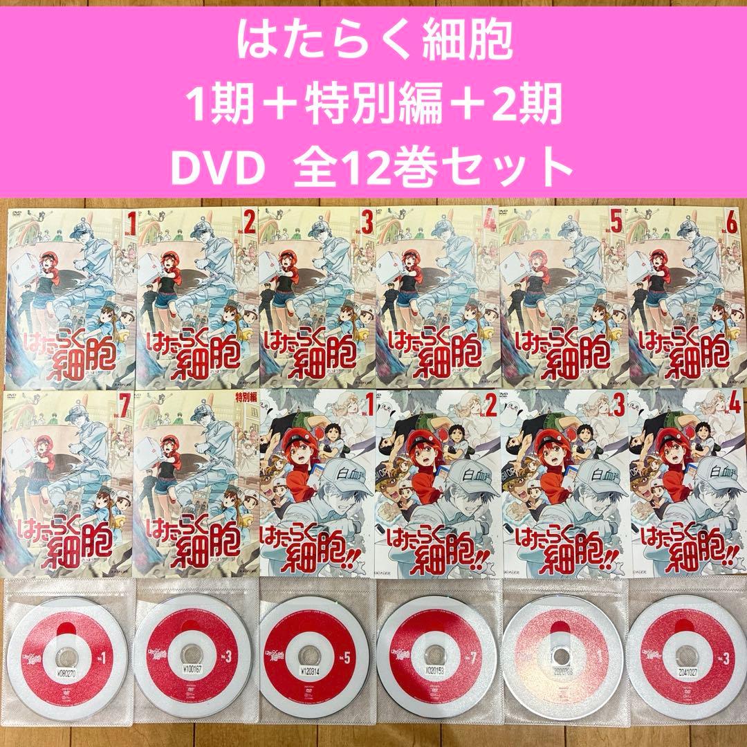 はたらく細胞　1期＋特別編＋2期　全12巻セット　完結　DVD　アニメ　匿名配送