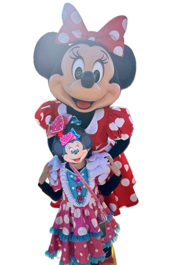 hiromiiisaさん専用パルパルミニーワンピースパニエカチューシャ靴 100