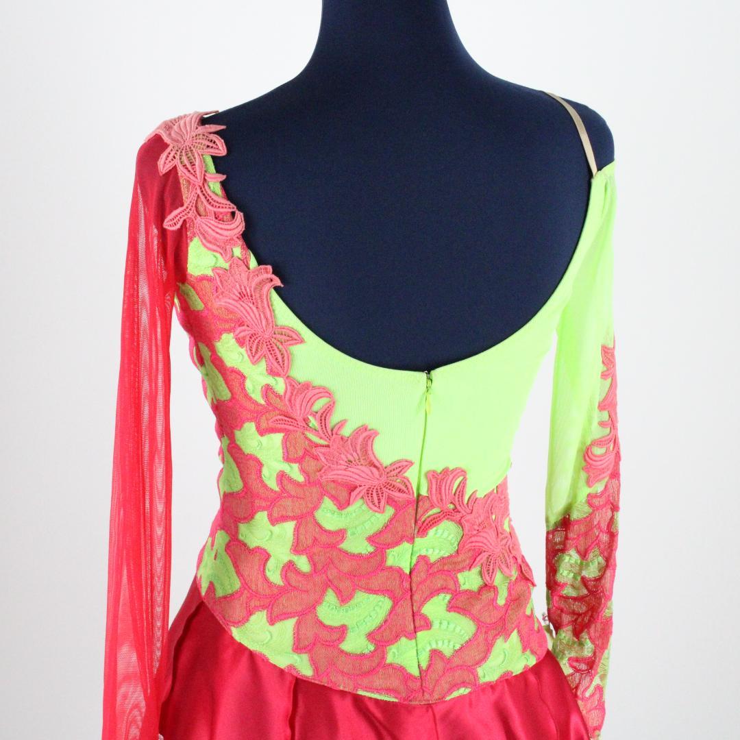 【極美品 日本製 社交ダンス衣装】 in the MOOD インザムード ドレス