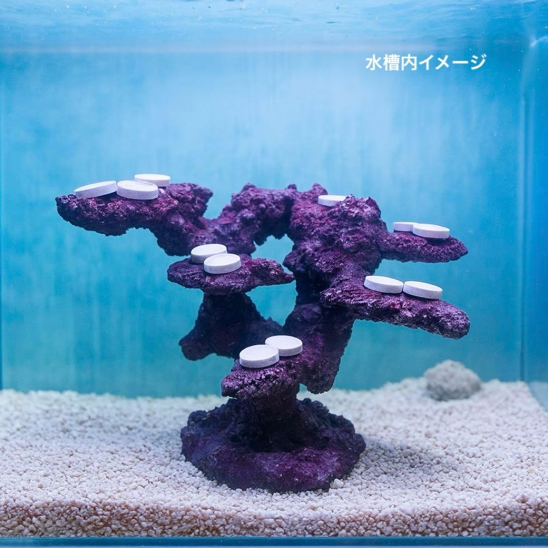 【送料無料】人工ライブロック　PHR21／12穴加工　アク抜き済み安心塗料使用