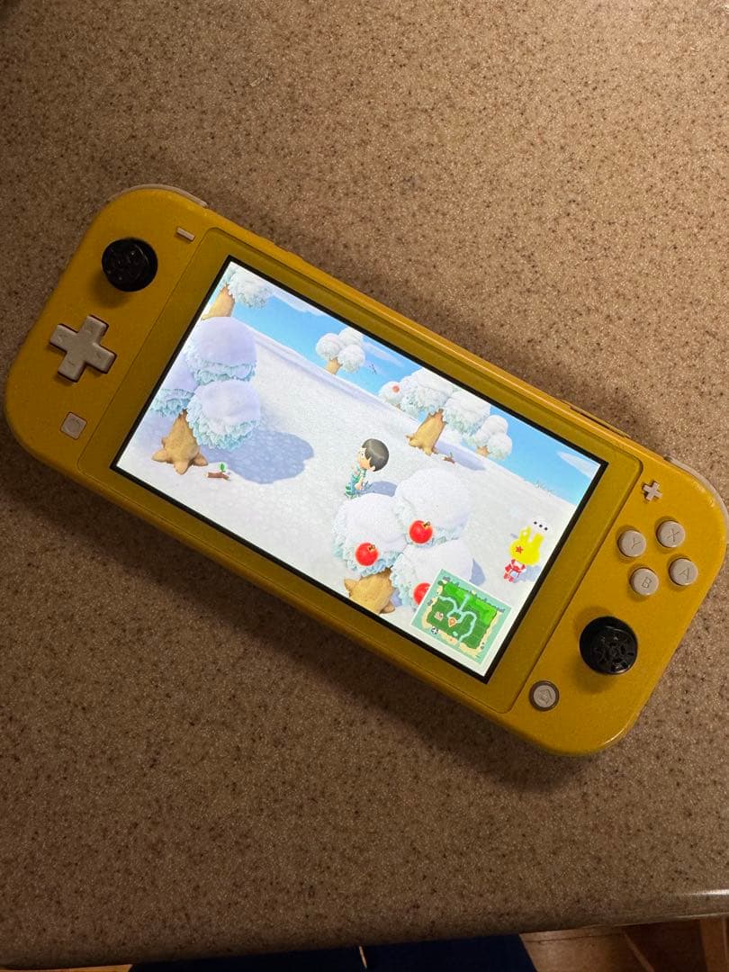 Switch lite 訳あり