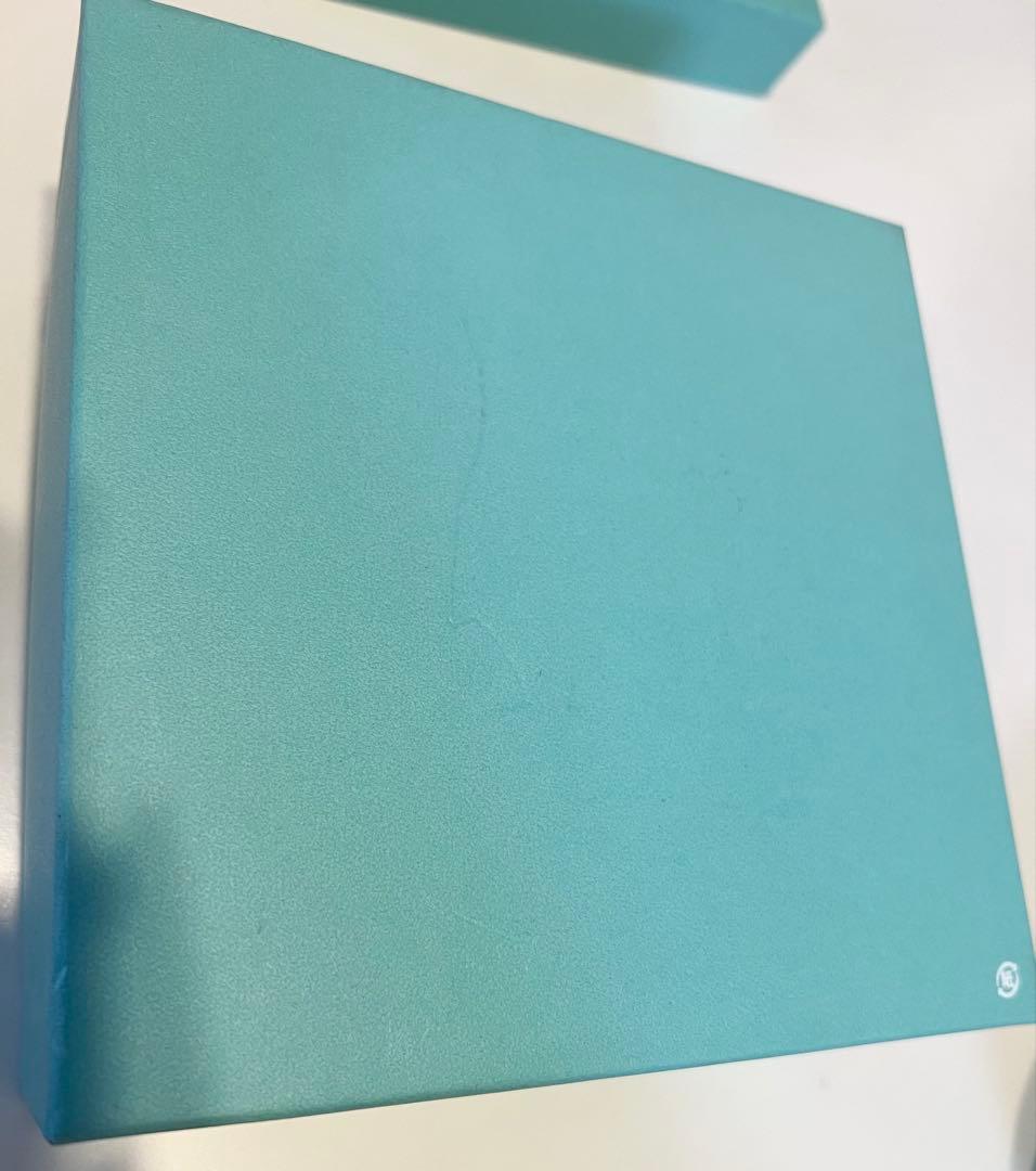 Tiffany & Co ティファニー ブルーボックスボウル2個セット NO.2