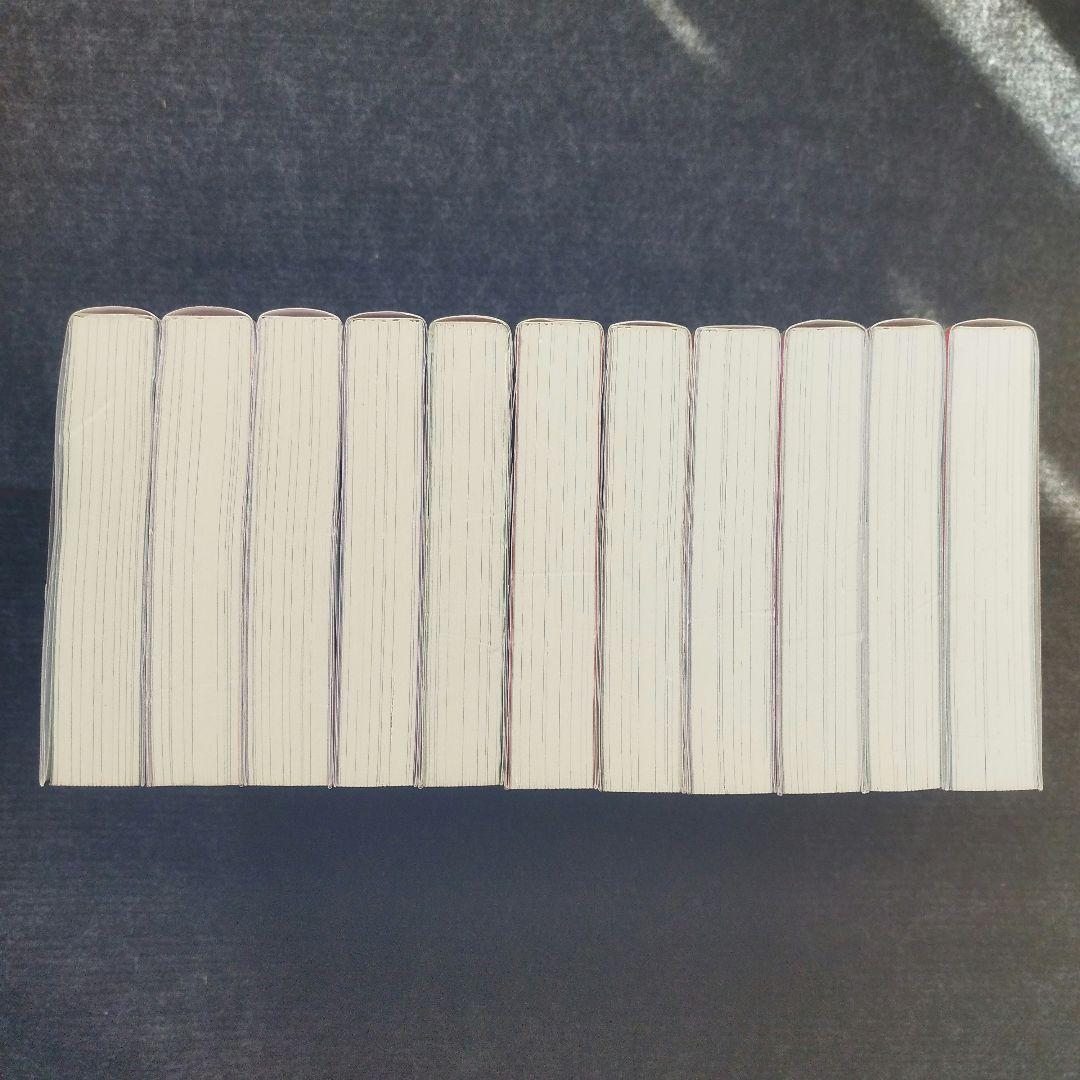 小説「勇者パーティーを追放されたビーストテイマー、最強種の猫耳…」全11冊セット