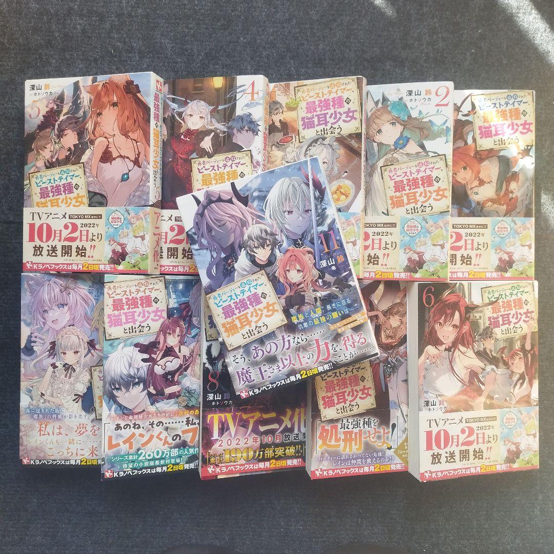 小説「勇者パーティーを追放されたビーストテイマー、最強種の猫耳…」全11冊セット