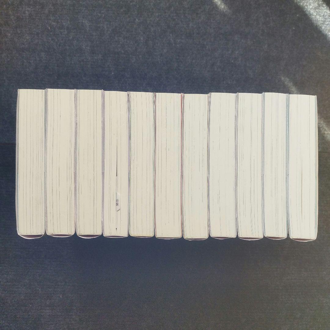 小説「勇者パーティーを追放されたビーストテイマー、最強種の猫耳…」全11冊セット