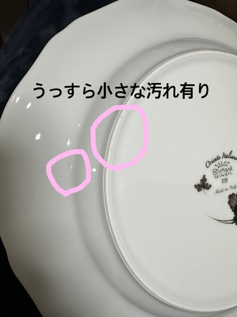 ジノリ　オリエンテ　イタリアーノ　プレート　27cm