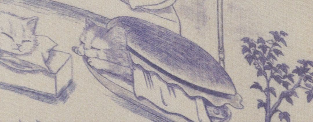 新品ローズティアラ22fabric 大きいサイズワンピース46定価38500