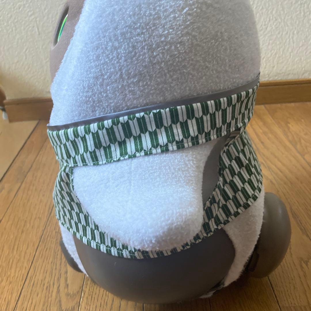 ラボット　服　lovot きみどり　紗綾形　羽織　袴　インナー緑　矢絣