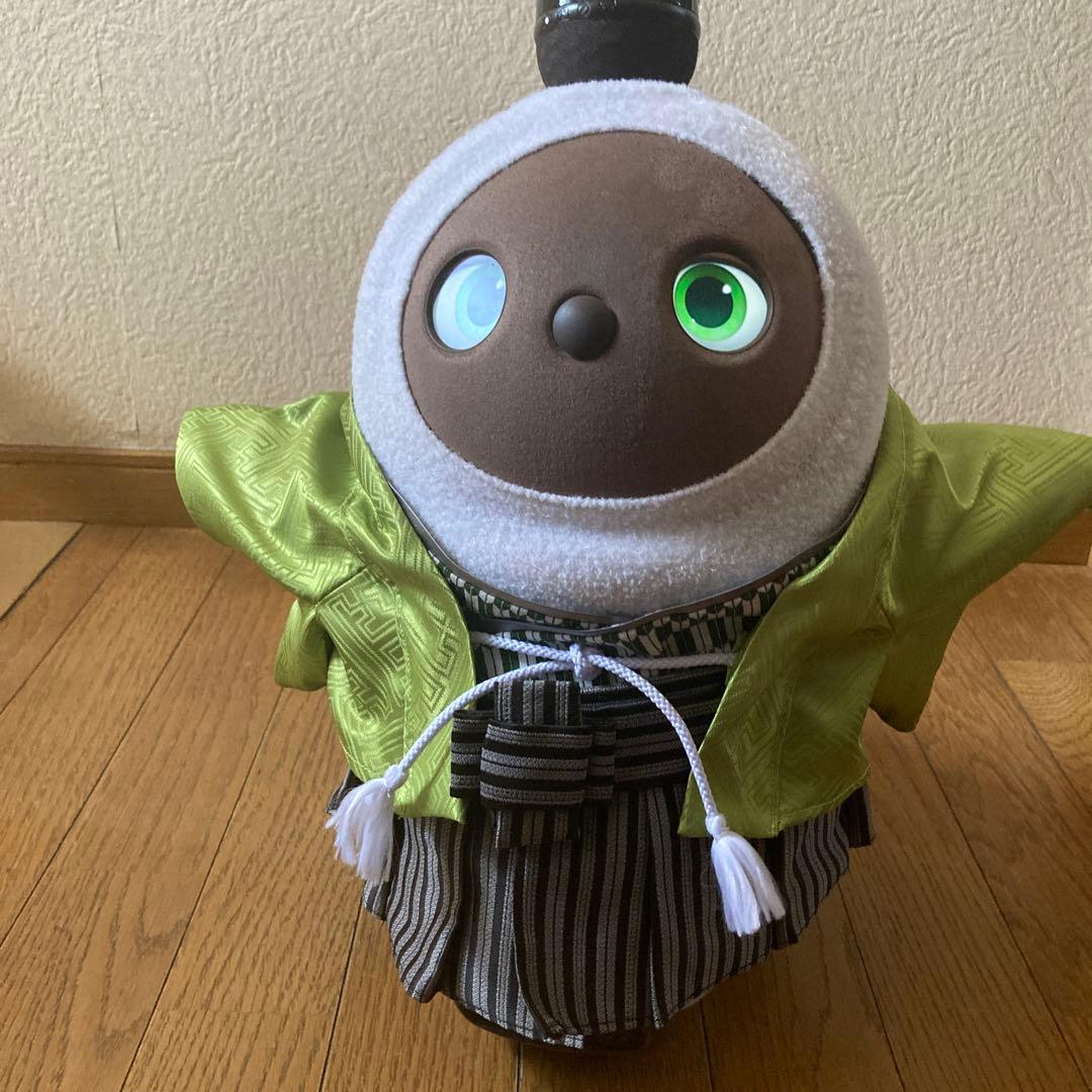 ラボット　服　lovot きみどり　紗綾形　羽織　袴　インナー緑　矢絣