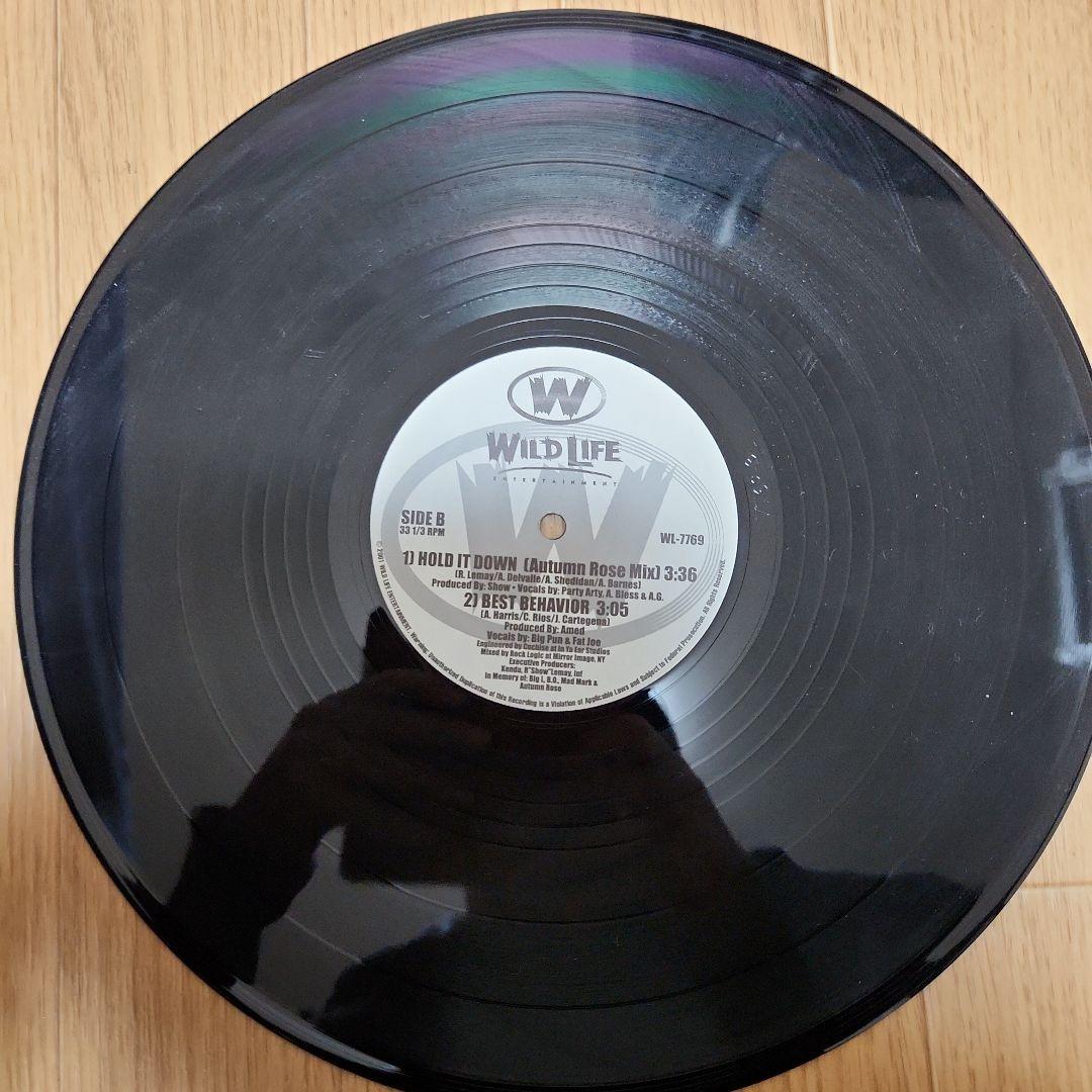 D.I.T.C. WILD LIFE 12インチレコード