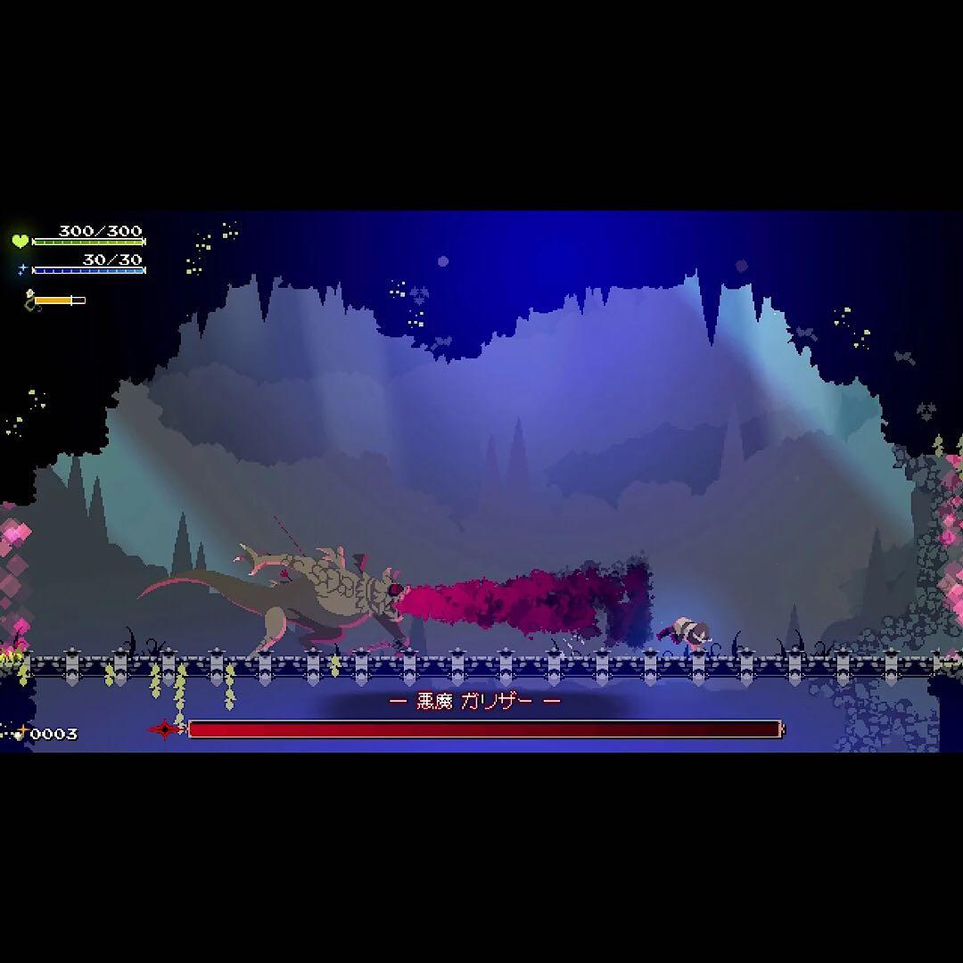Momodora 月影のエンドロール コレクターズエディション switch
