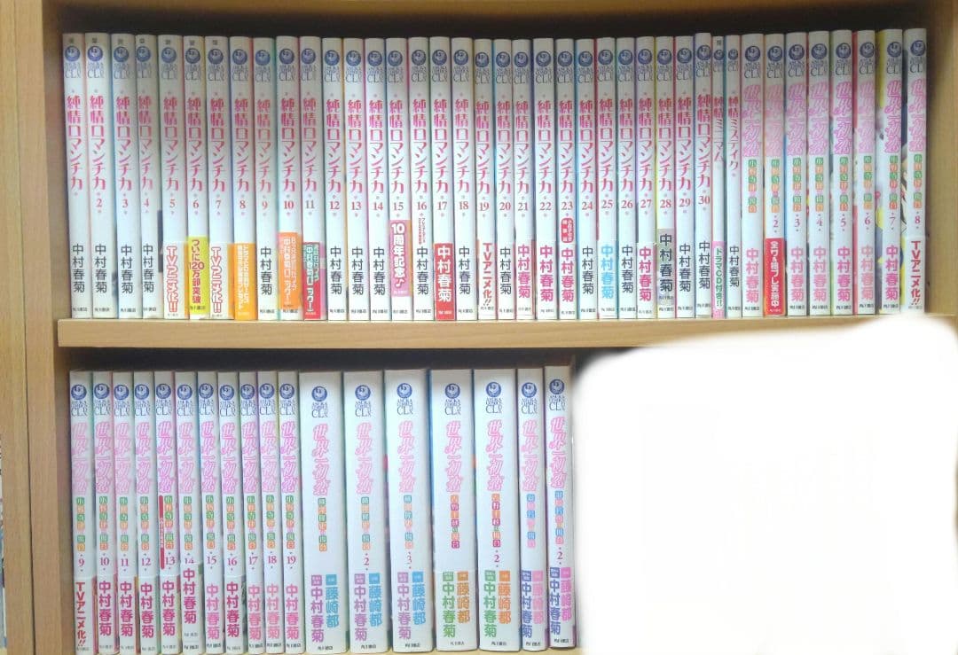 純情ロマンチカ 世界一初恋(kkkkk)