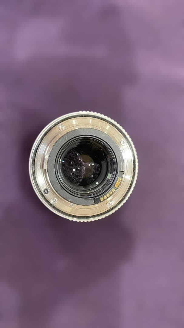 [美品] Canon エクステンダー EF1.4XⅡ/ キヤノンEFマウント