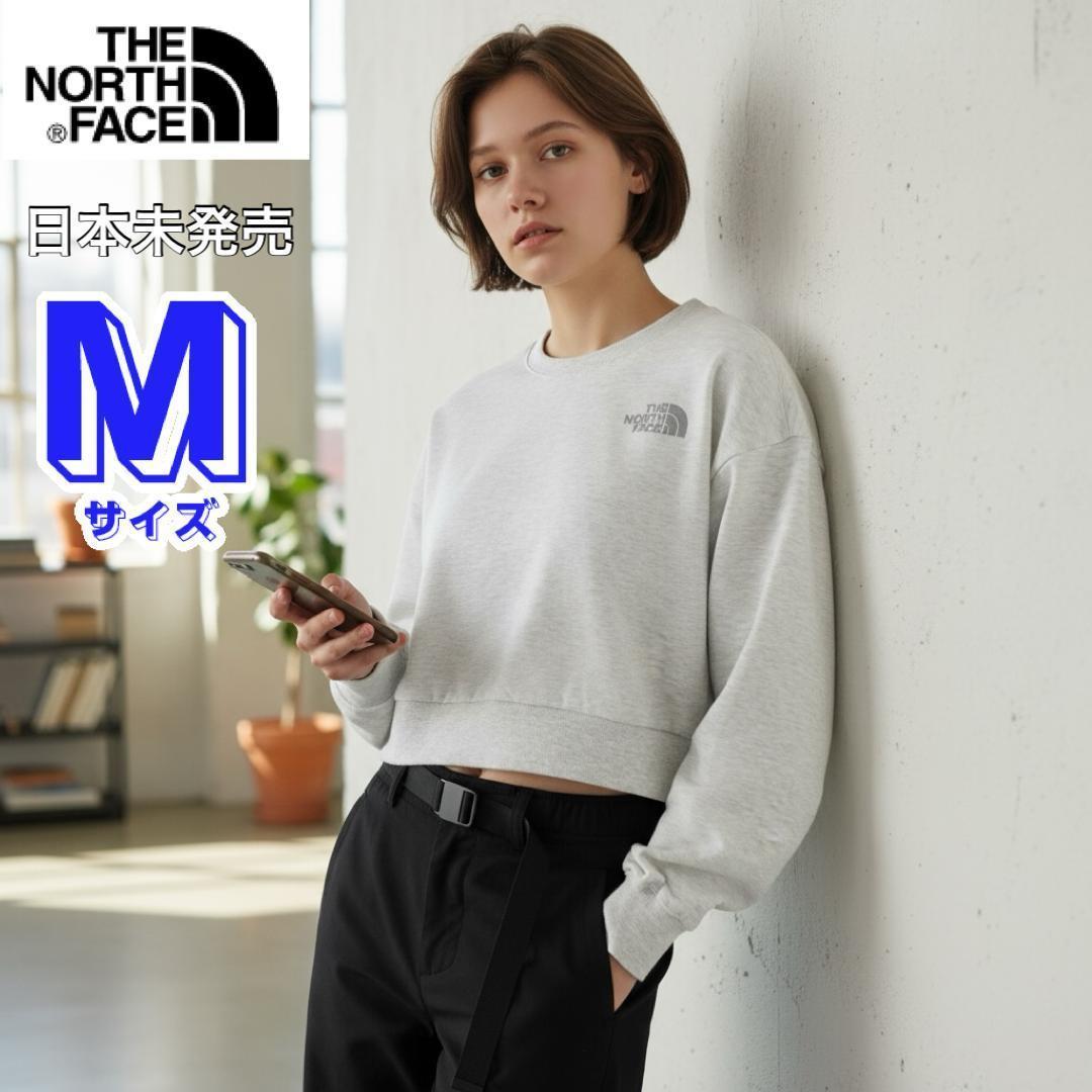 ⭐️短め丈❗️ノースフェイスM レディーススウェットトレーナー グレー!