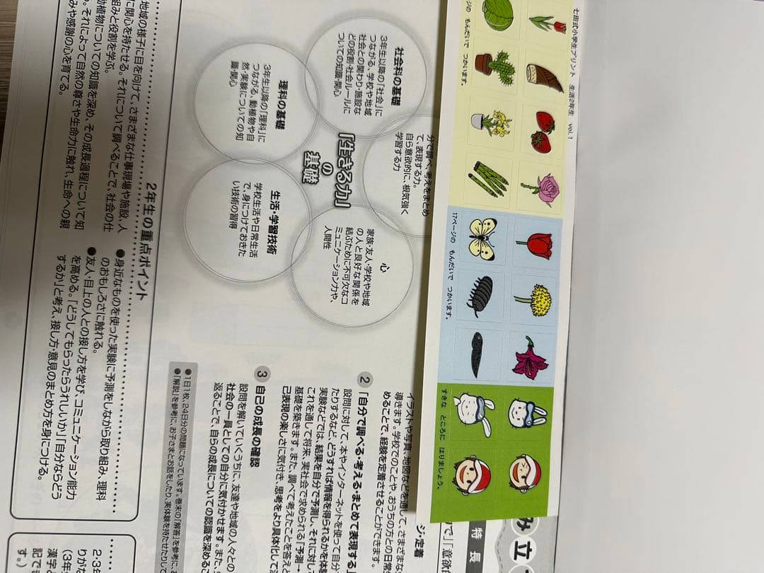 七田式　小学生プリント　生活・せいかつ1、2年 セット