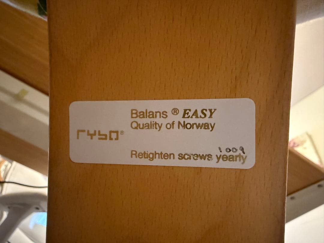 値下げ！リボ(ノルウェー製)バランスイージー　+カバー