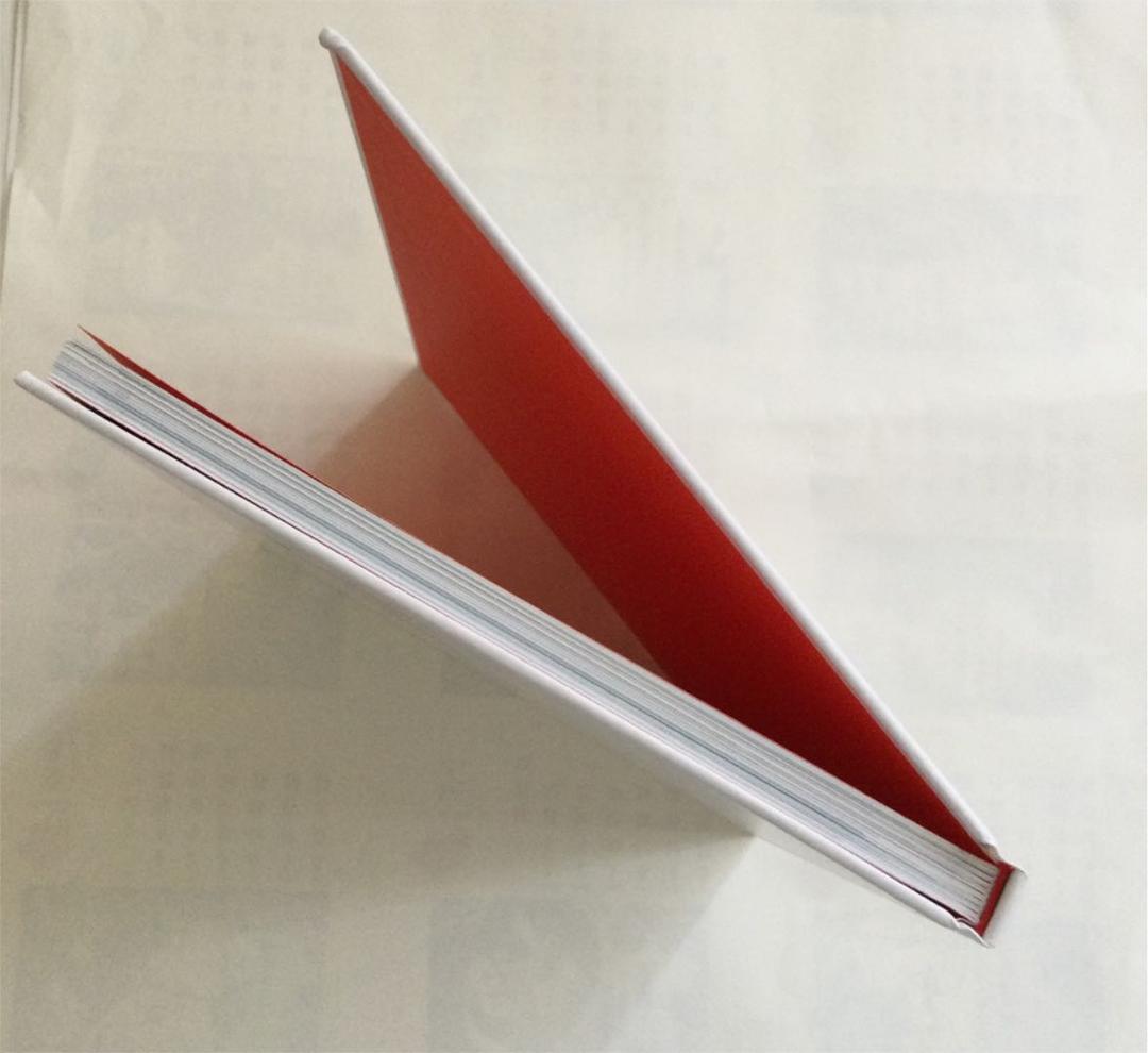 激レア！！　サビニャック　作品集