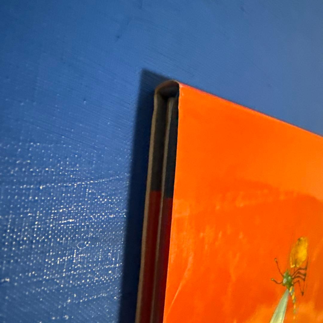 洋書　BUZ リチャード・エギルスキー著