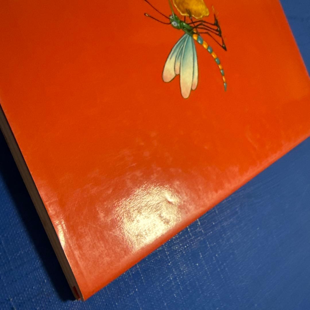 洋書　BUZ リチャード・エギルスキー著