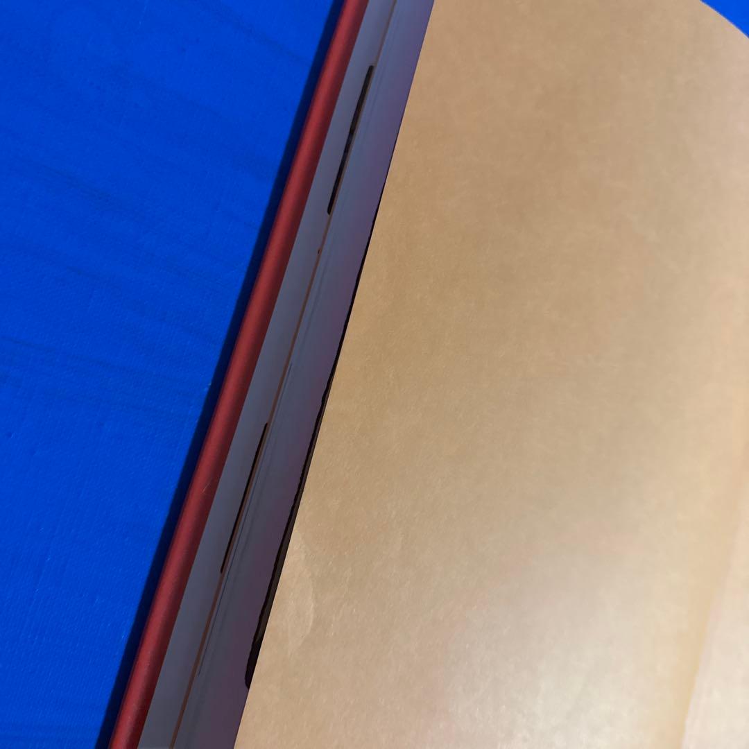 洋書　BUZ リチャード・エギルスキー著