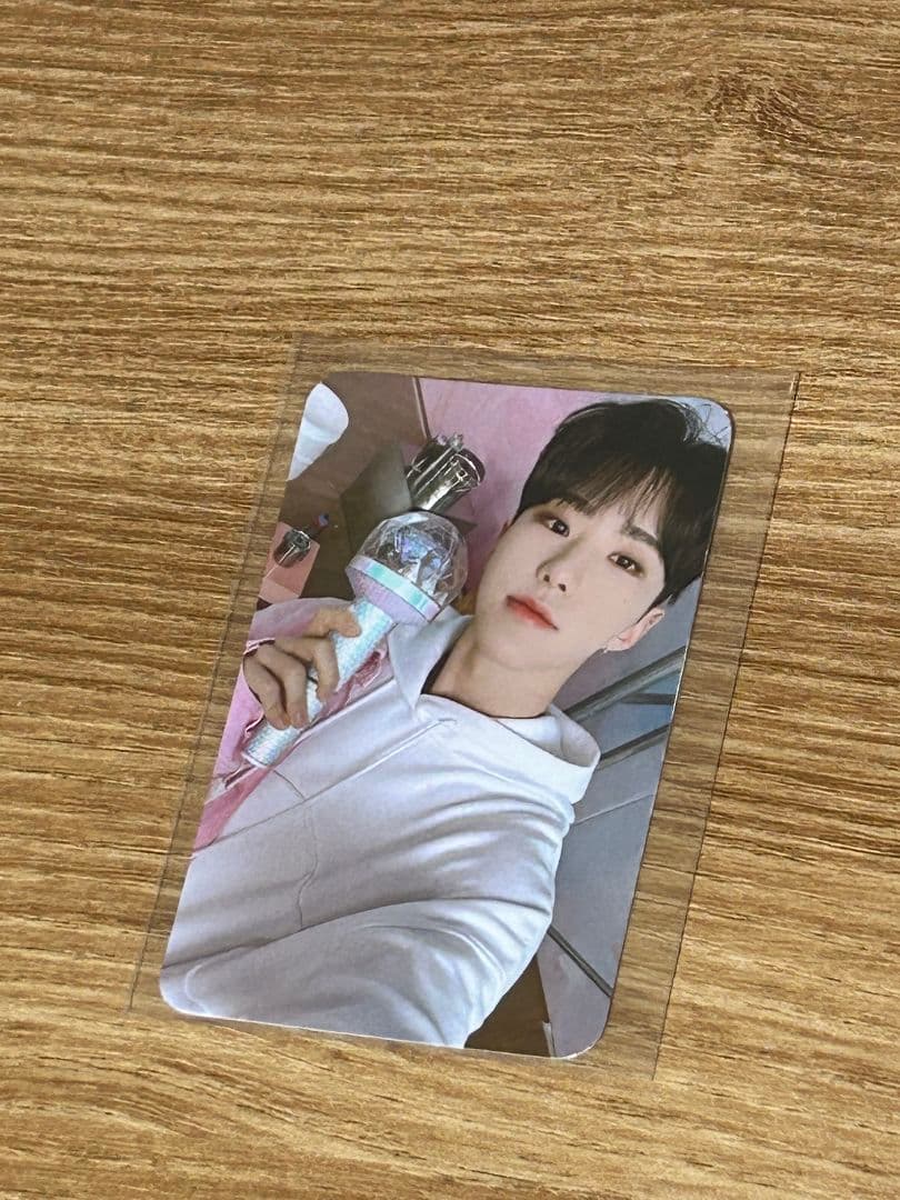 Seventeen in carat land ホシ hoshi