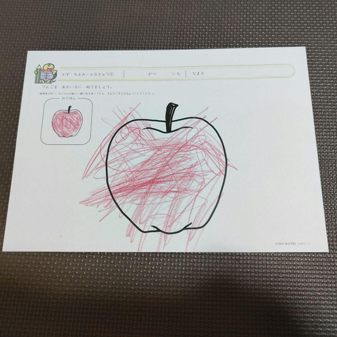 四谷学院 療育55段階プログラムA【みきゃん】