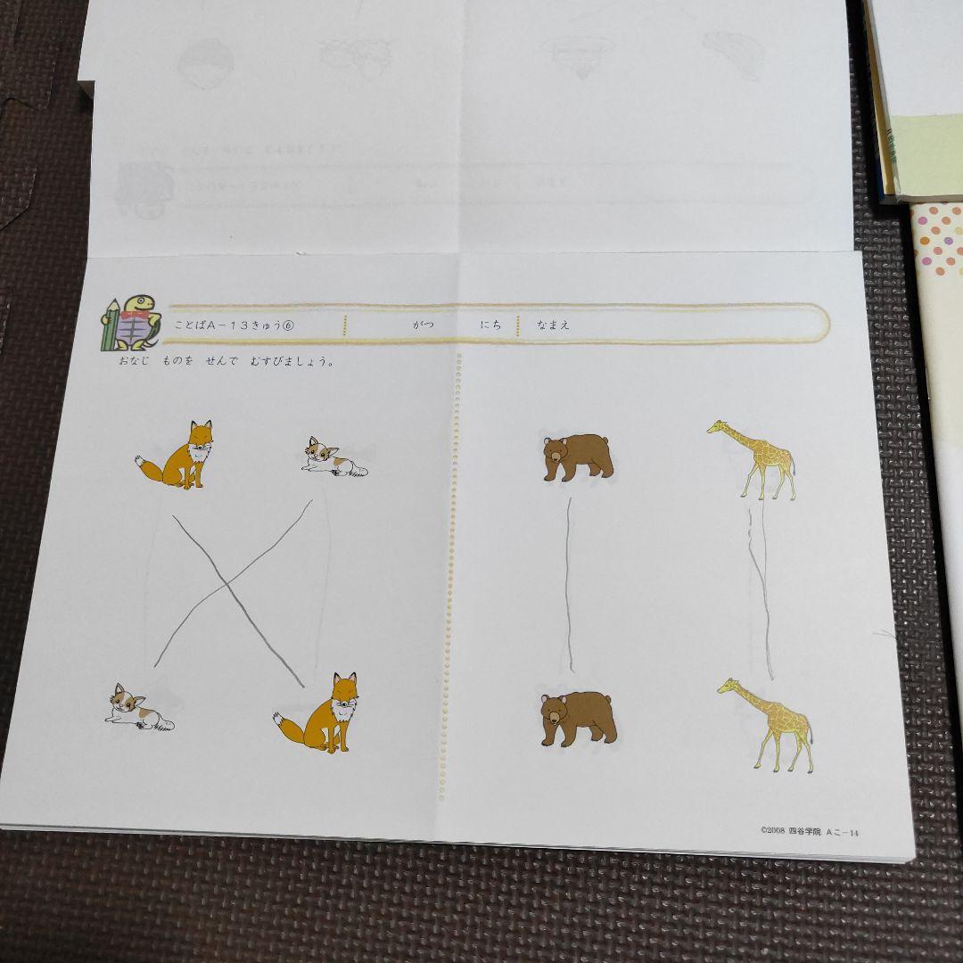 四谷学院 療育55段階プログラムA【みきゃん】