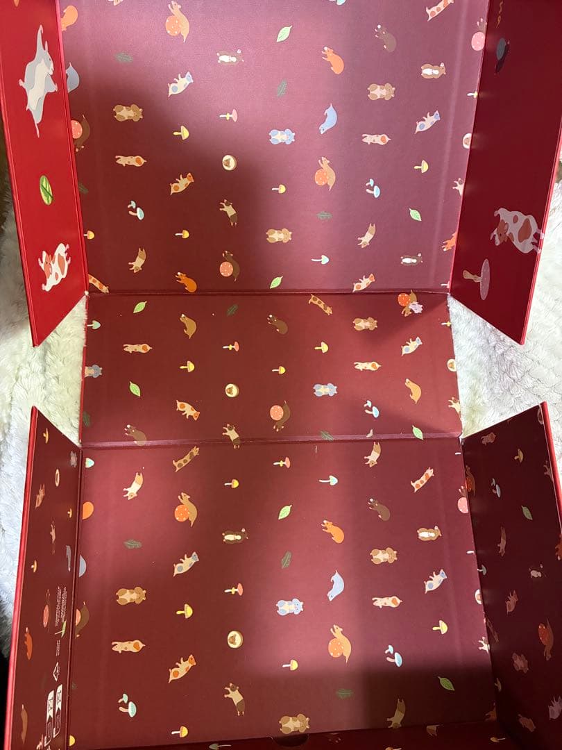 LOEWE クリーム色 マフラー フリンジ付き　箱付き