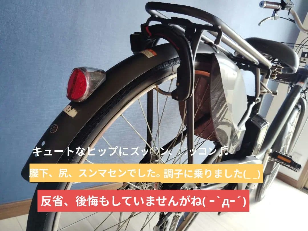 自転車本体 YAMAHA PAS withDX 12.8ah