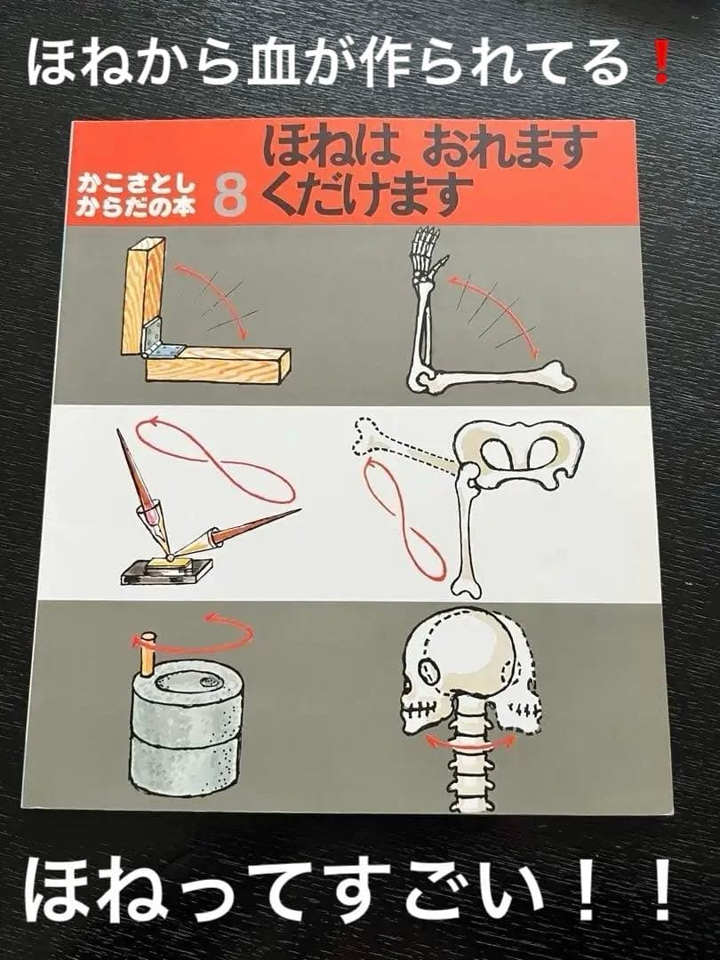 〈絶版‼︎　値下げしました〉かこさとしからだの本 全10巻 ペーパーバック