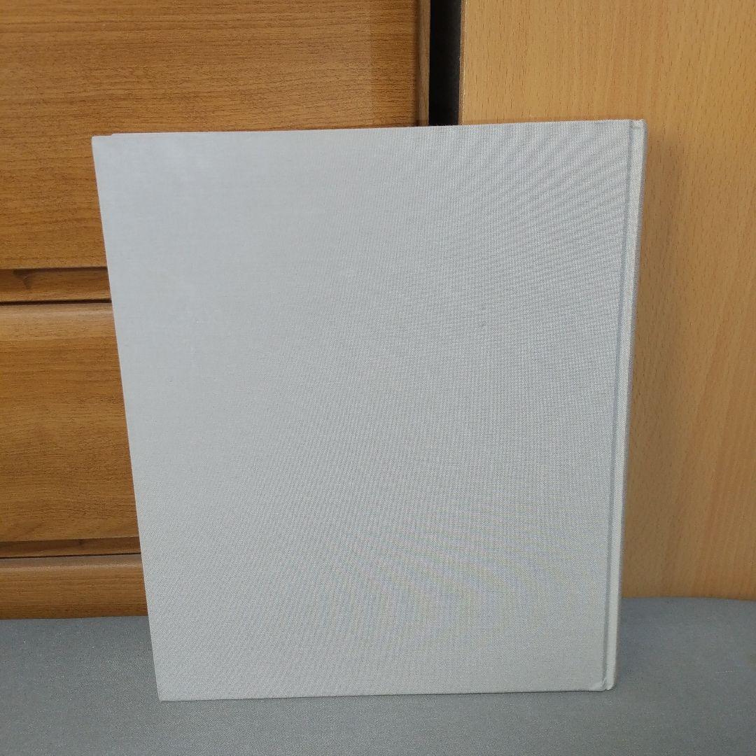 Cy Twombly サイ トゥオンブリーの写真 変奏のリリシズム j1