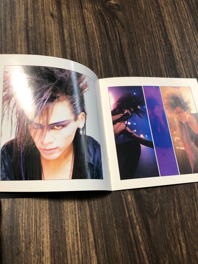 LUNA SEA インディーズ　初回限定写真集付