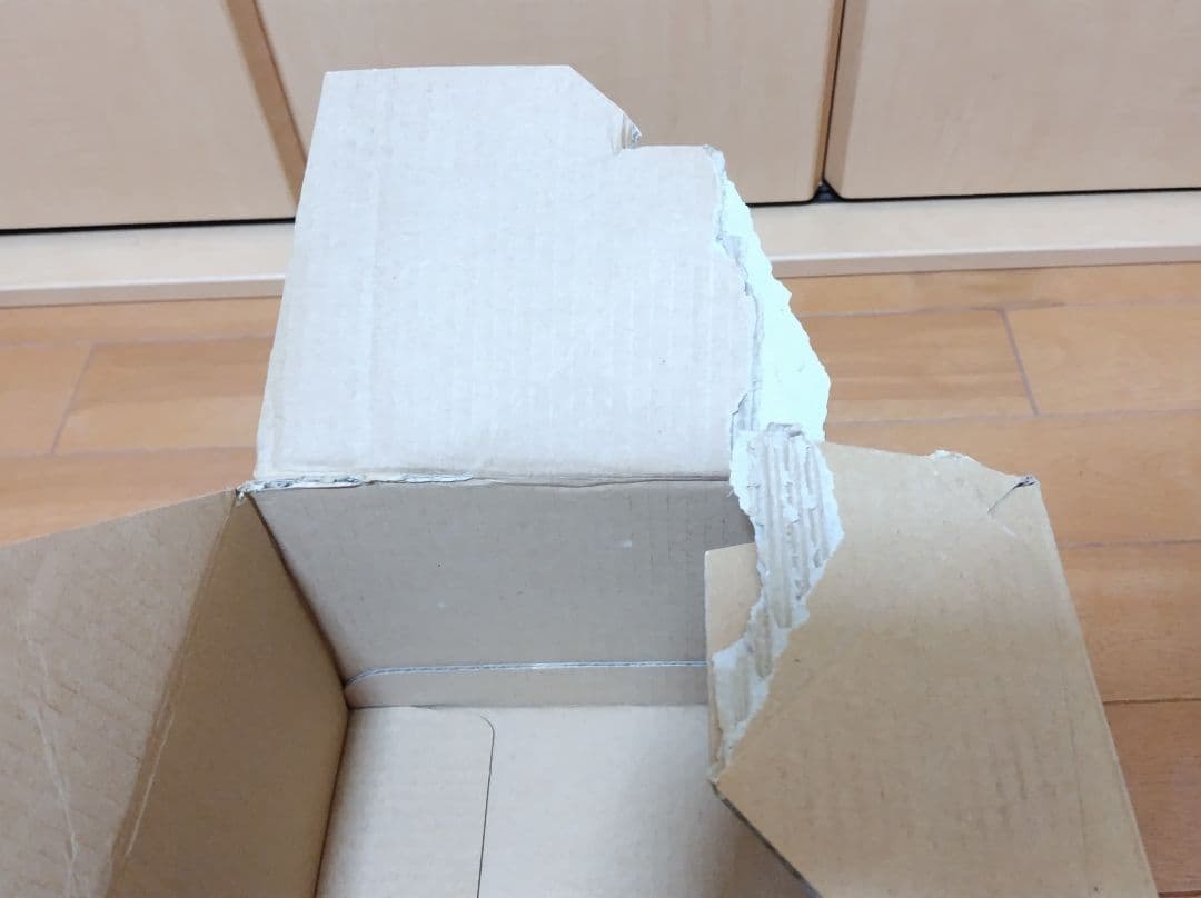 DEATH NOTE HOW TO READ 13 初回限定特装版