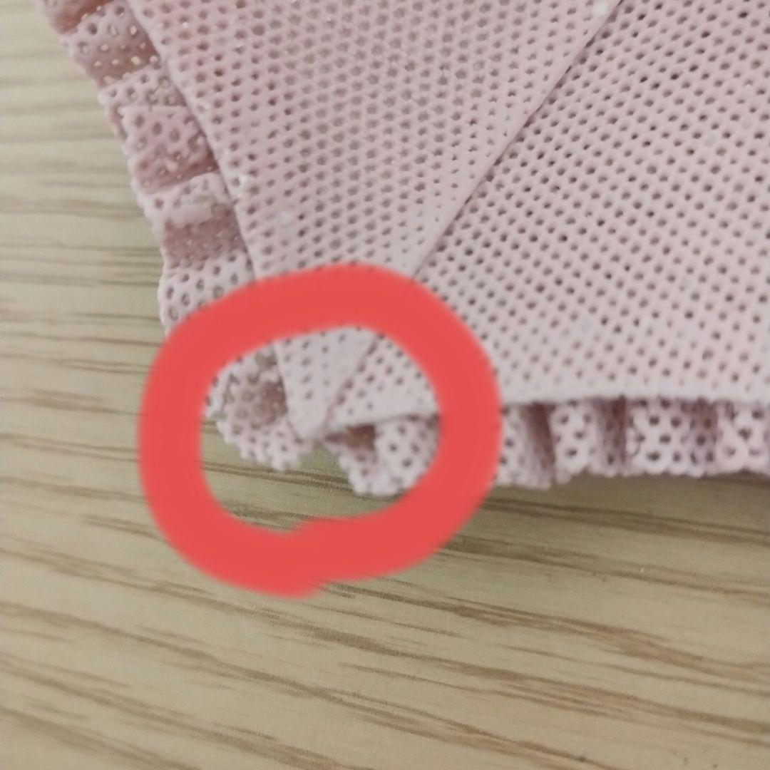 リヤドロ 愛犬とかける貴婦人