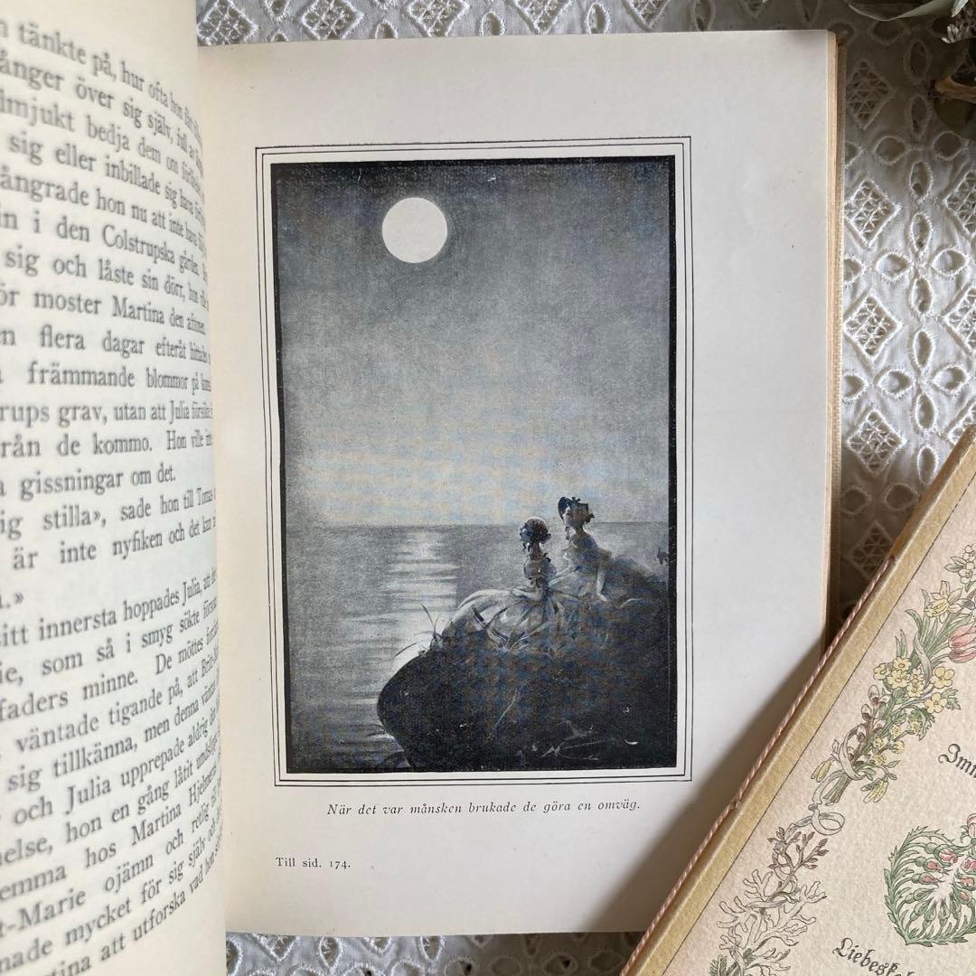 L911洋書古書1923年エイナルネイマンが挿絵を添えた希少なアンティークブック