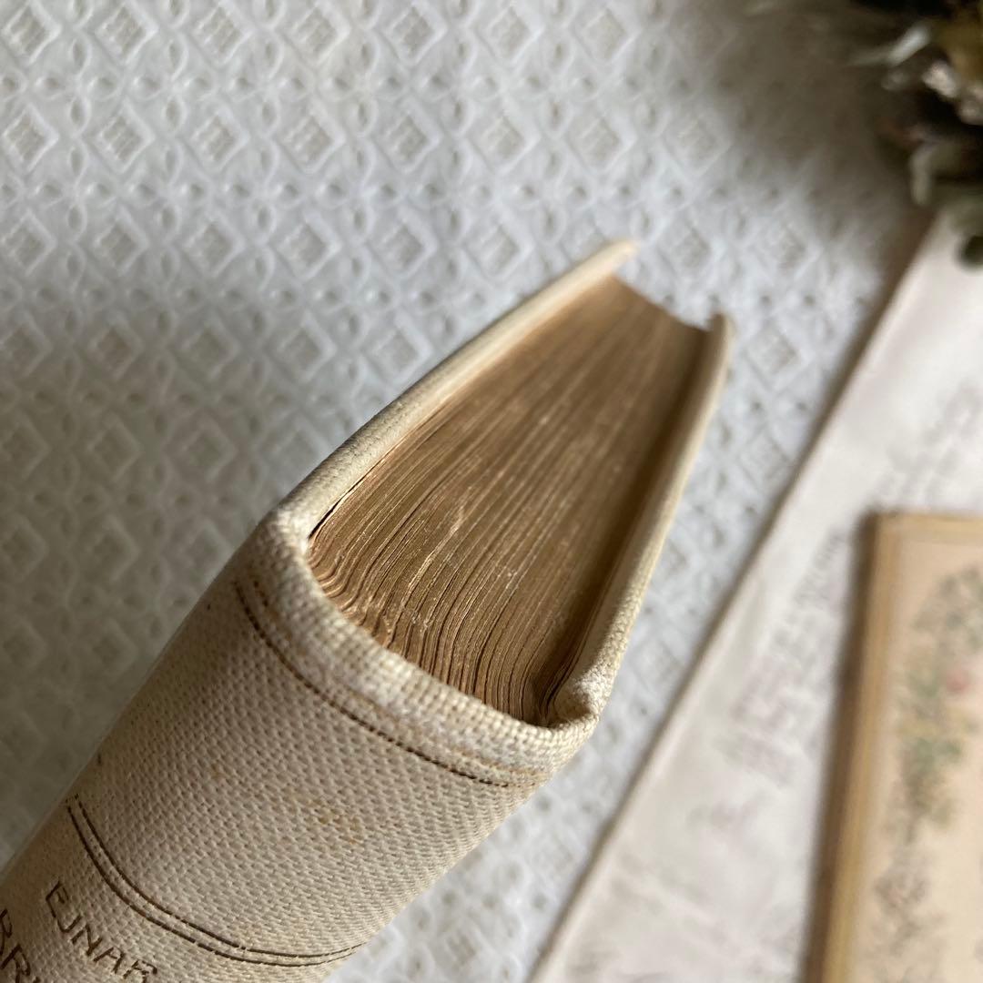 L911洋書古書1923年エイナルネイマンが挿絵を添えた希少なアンティークブック