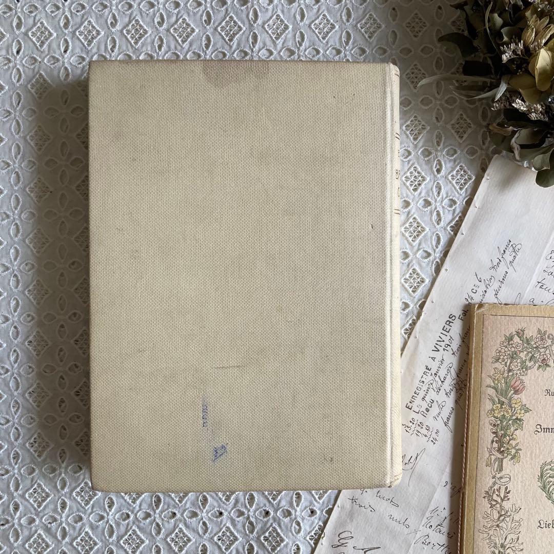 L911洋書古書1923年エイナルネイマンが挿絵を添えた希少なアンティークブック