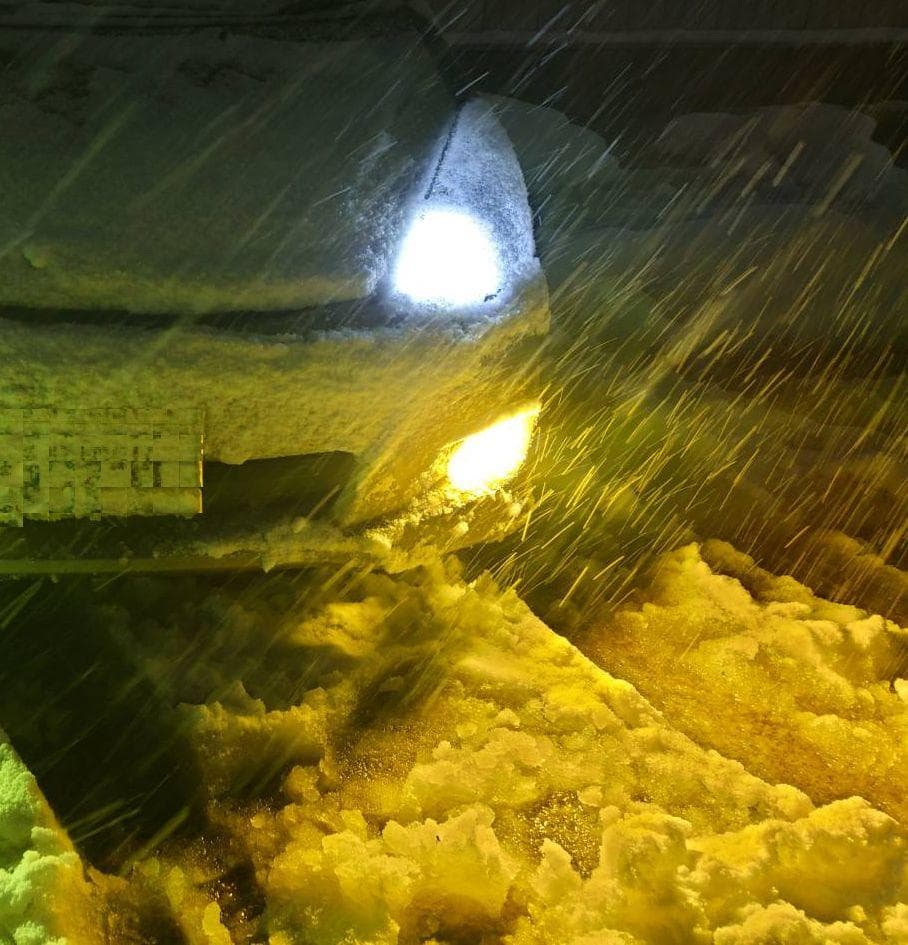 ノーコン 18LED　シリーズＰ　雪に強いイエローLEDバルブ