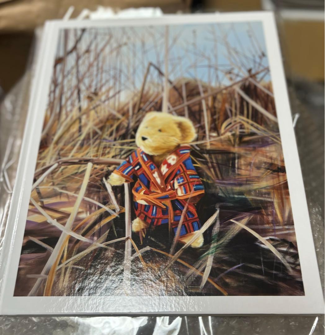 新品未開封画集　Ulala Imai - The Scene 今井麗　本人サイン