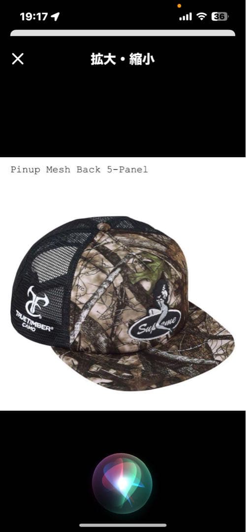 ￼ Supremeメッシュキャップピンナップガール