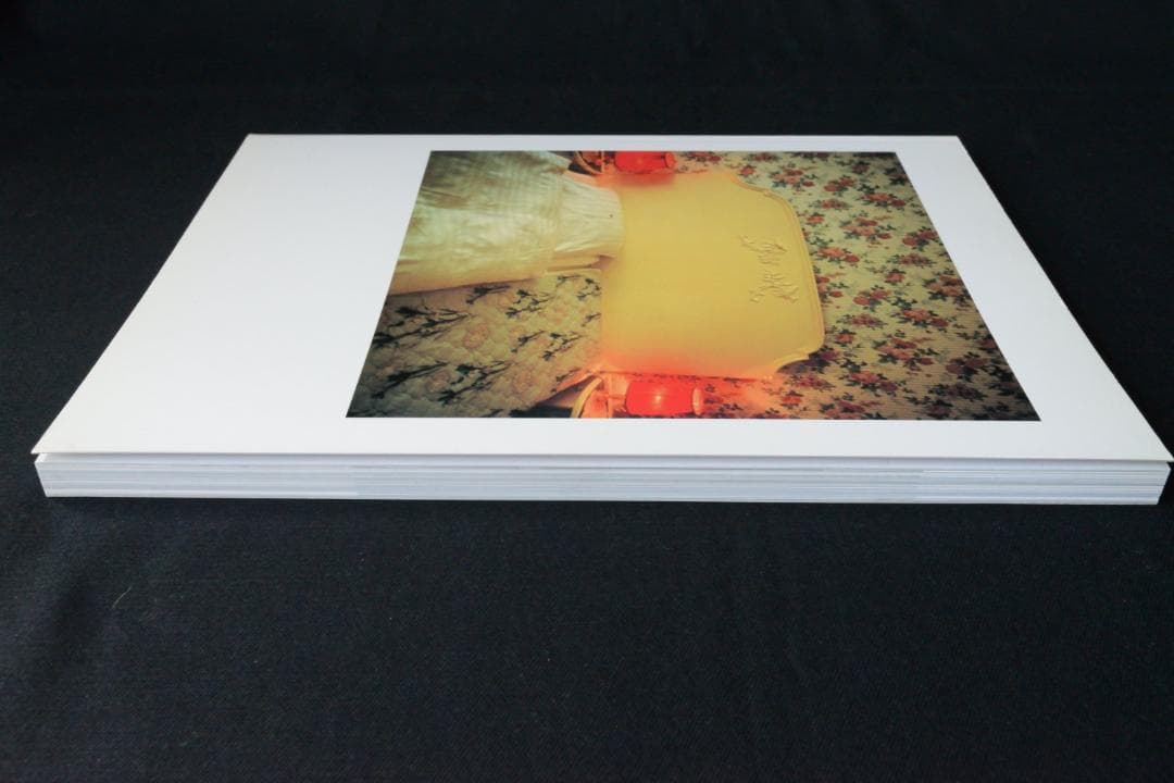 【Nan Goldin：Couples and Loneliness】★新品同様