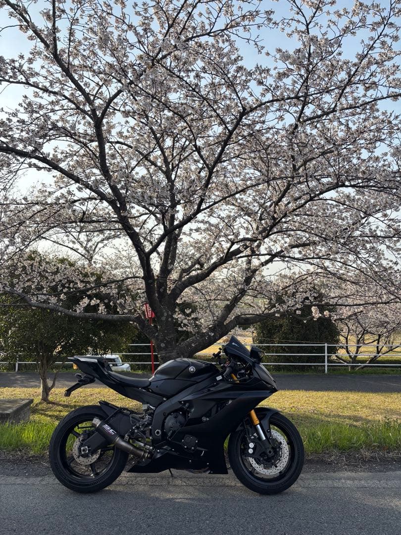 SC PROJECT マフラー GP70