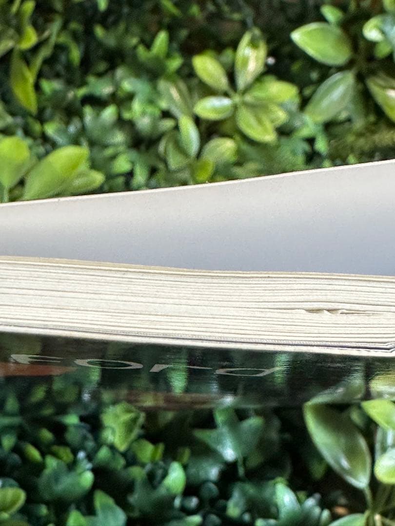 Robben Ford Tiger Walk ギターTAB譜 楽譜 洋書 希少