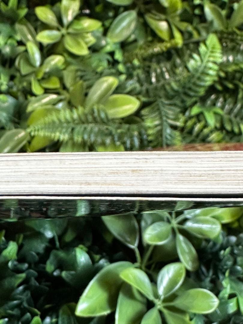 Robben Ford Tiger Walk ギターTAB譜 楽譜 洋書 希少