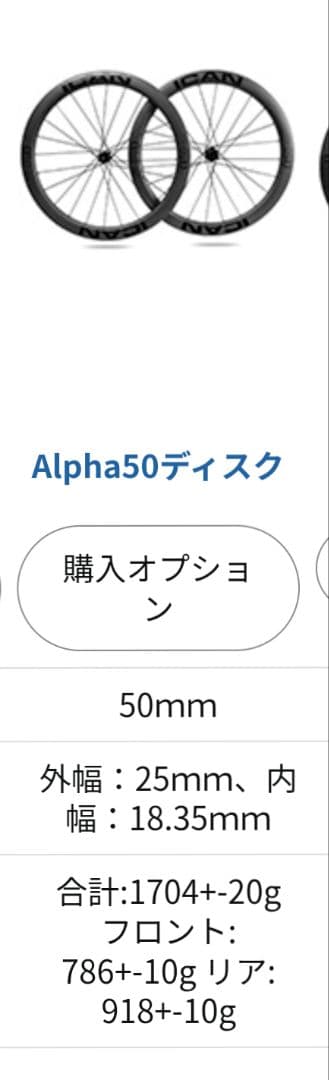 ICAN Alpha 50 ディスク カーボンホイール 700C ディープリム
