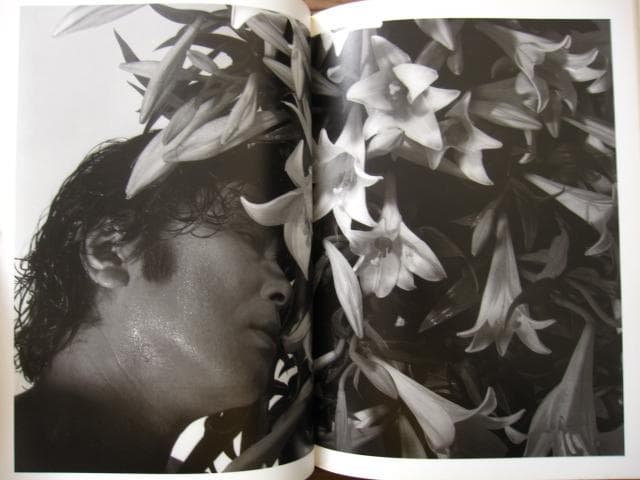 Harada　中本佳材　原田芳雄