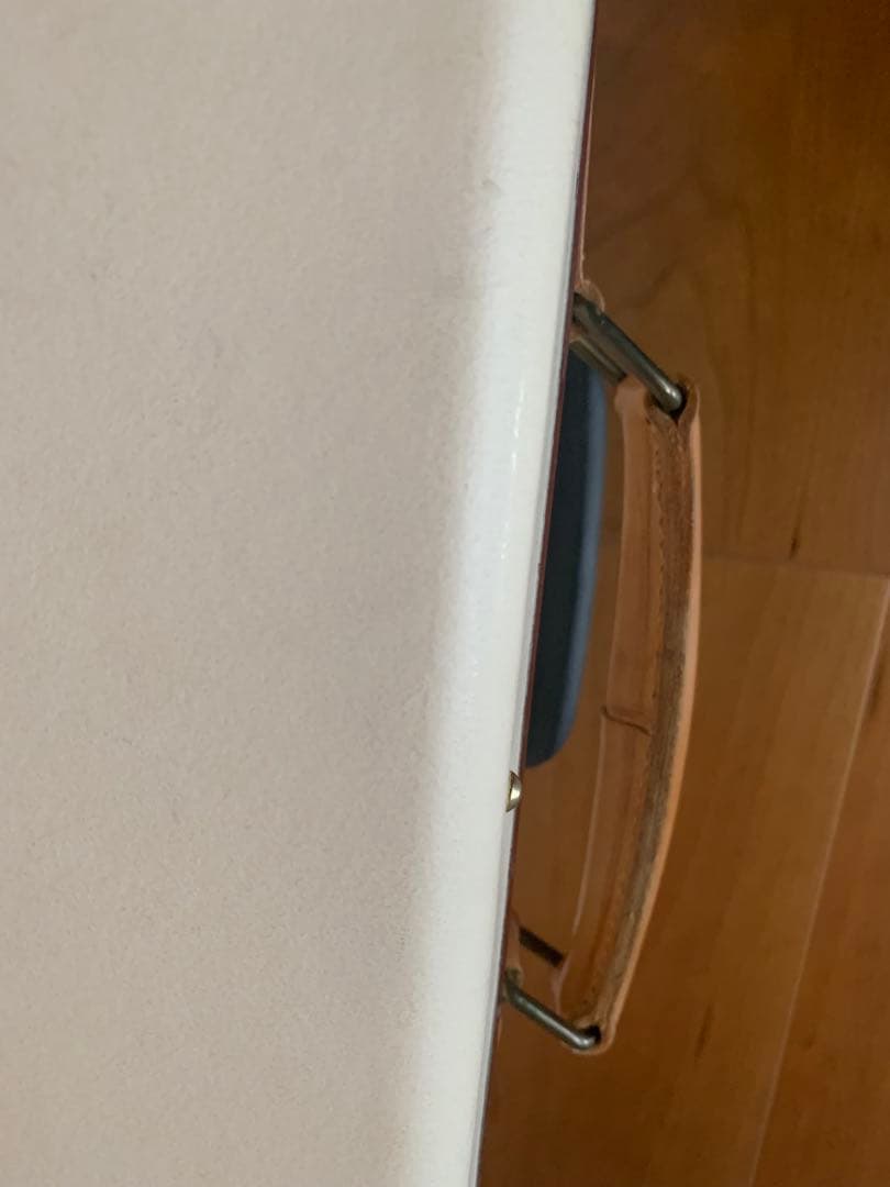 グローブトロッター　サファリ　二輪　百貨店購入品