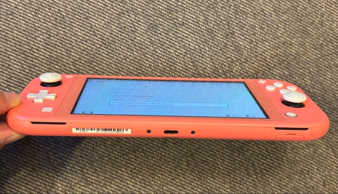 Nintendo Switch Lite 専用のケース付き